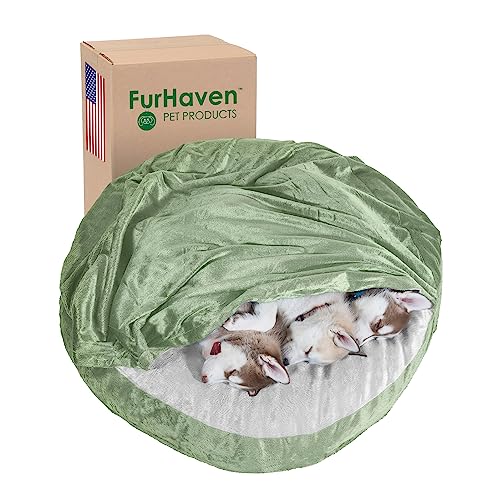 Furhaven Rundes Kühlgel-Hundebett für große und mittelgroße Hunde, mit abnehmbarem, waschbarem Bezug, für Hunde bis zu 22,7 kg, Microsamt, kuschelig, 88,9 cm, Salbeigrün von Furhaven