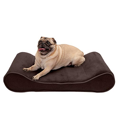 Furhaven Memory Foam Hundebett für mittelgroße und kleine Hunde mit abnehmbarem waschbarem Bezug, für Hunde bis zu 10,4 kg – Microvelvet Luxe Lounger Contour Matratze – Espresso, Größe M von Furhaven