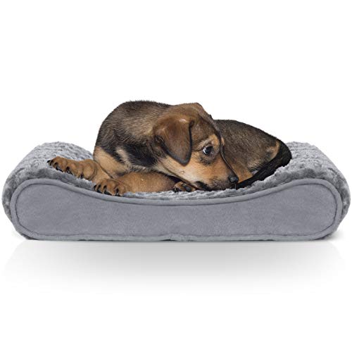 Furhaven Pet Klein Microvelvet Luxe Liege Orthopädische Pet Bett von Furhaven