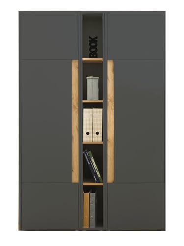 Aktenschrank Set in grau matt und Wotan Eiche 2X Stauraumschrank und Regal für Homeoffice Büroschrank Hochschrank Ordnerschrank modern 120 x 200 cm Center (Set 3) von Furn.Design