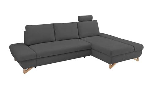 Furn.Design Ecksofa in grau Velours, Sofa mit Bettfunktion und Stauraum 284 cm, Skalm von Furn.Design