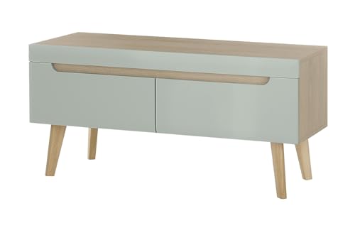 Furn.Design TV-Lowboard in Pistazie matt und Scandi Eiche, TV Unterteil skandinavisch 107 x 50 cm, Isgard von Furn.Design