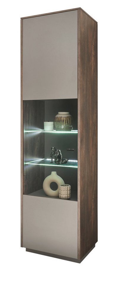 Furn.Design Vitrine Piano (Stauraumvitrine in Thermo Eiche mit grau, 55 x 200 cm) mit Soft-Close von Furn.Design