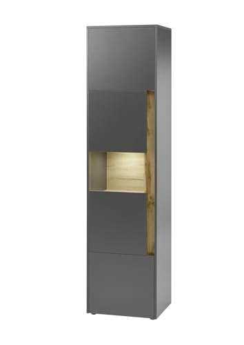 Furn.Design Vitrine Vitrinenschrank in Eiche Wotan Holz und grau matt modern Hochschrank Wohnzimmer Geschirrschrank mit Glas 50 x 197 cm Center (Vitrine 1) von Furn.Design