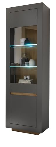 Furn.Design Vitrine in anthrazit und Wotan Eiche Wohnzimmer Esszimmer Vitrinenschrank 64 x 206 cm, Rooky von Furn.Design