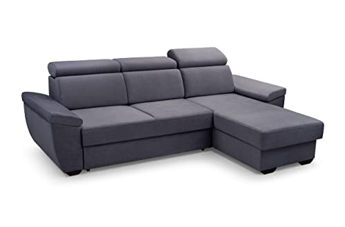 FurniShop24 Ecksofa mit Schlaffunktion und Bettkasten - Komfortables Schlafcouch L Form 258x170 cm mit verstellbaren Kopfstützen und geräumige Liege, Eckcouch Aspen Esche von FurniShop24