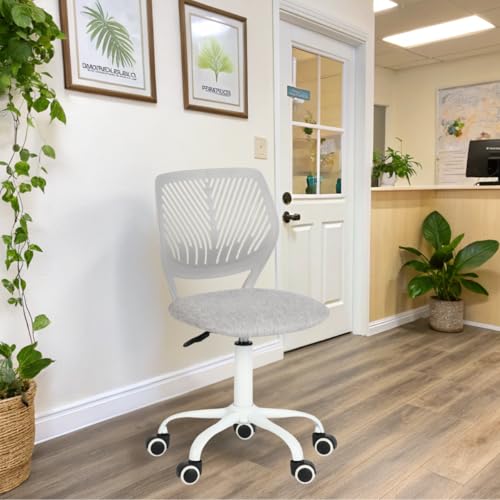 FurnitureR Empfangsstühle für Büro, Kleiner Empfangsstuhl, höhenverstellbar, Räder 361 °, ergonomische Rückenlehne, Sitz aus atmungsaktivem Stoff, Morandi Grau FurnitureR Empfangsstühle für Büro, Kleiner Empfangsstuhl, höhenverstellbar, Räder 361 °, ergonomische Rückenlehne, Sitz aus atmungsaktivem Stoff, Morandi Grau von FurnitureR