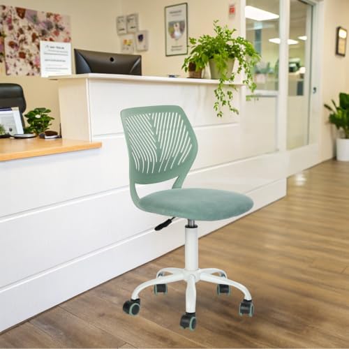 FurnitureR Empfangsstühle für Büro, kleine Empfangsstühle, höhenverstellbar, Räder 361° wählbar, ergonomische Rückenlehne, Sitz aus atmungsaktivem Stoff, Morandi Aqua FurnitureR Empfangsstühle für Büro, kleine Empfangsstühle, höhenverstellbar, Räder 361° wählbar, ergonomische Rückenlehne, Sitz aus atmungsaktivem Stoff, Morandi Aqua von FurnitureR
