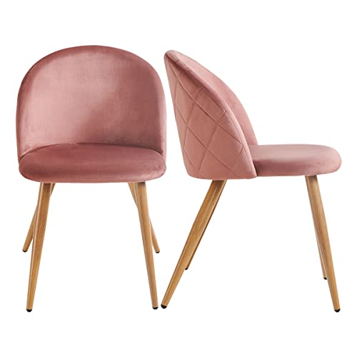 FurnitureR Esszimmerstühle Set mit 2 Samt-gepolsterten Akzenten, Freizeit-Beistellstuhl, Samtkissen und Eichen-Metallbeine für Wohnzimmer, Rose von FurnitureR