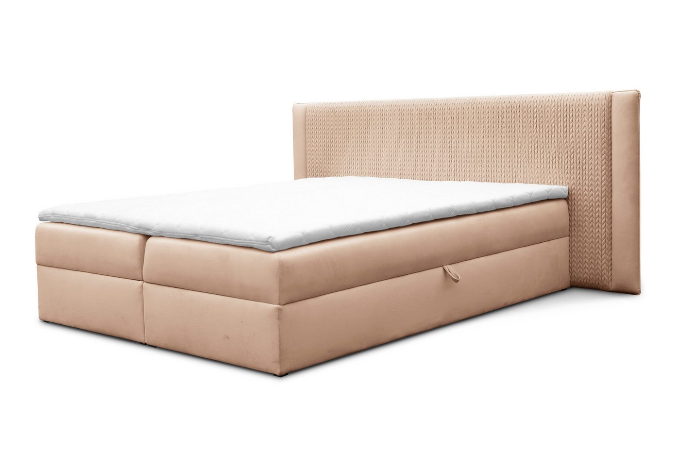 Furnix Boxspringbett Darci 120/140/160/180x200 mit Bettkasten & Topper Auswahl Farbe/Größe, Länge 208, Höhe 100 cm, Breite Wahl plus je 74 cm von Furnix