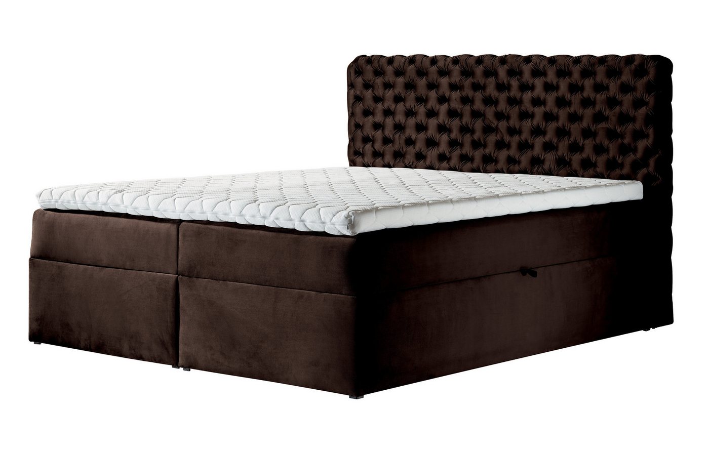 Furnix Boxspringbett HAILEY 120/140/160/180/200x200 mit zwei tiefen Bettkästen und Topper, Gasdruckfedern-Öffnungsautomatik, Bonell-Federkern H3 von Furnix