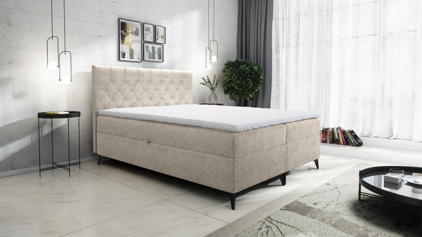 Furnix Boxspringbett JULLIE 129-200x200 mit Topper Bettkaste Farbe/Größe Auswahl, mit Topper von Furnix