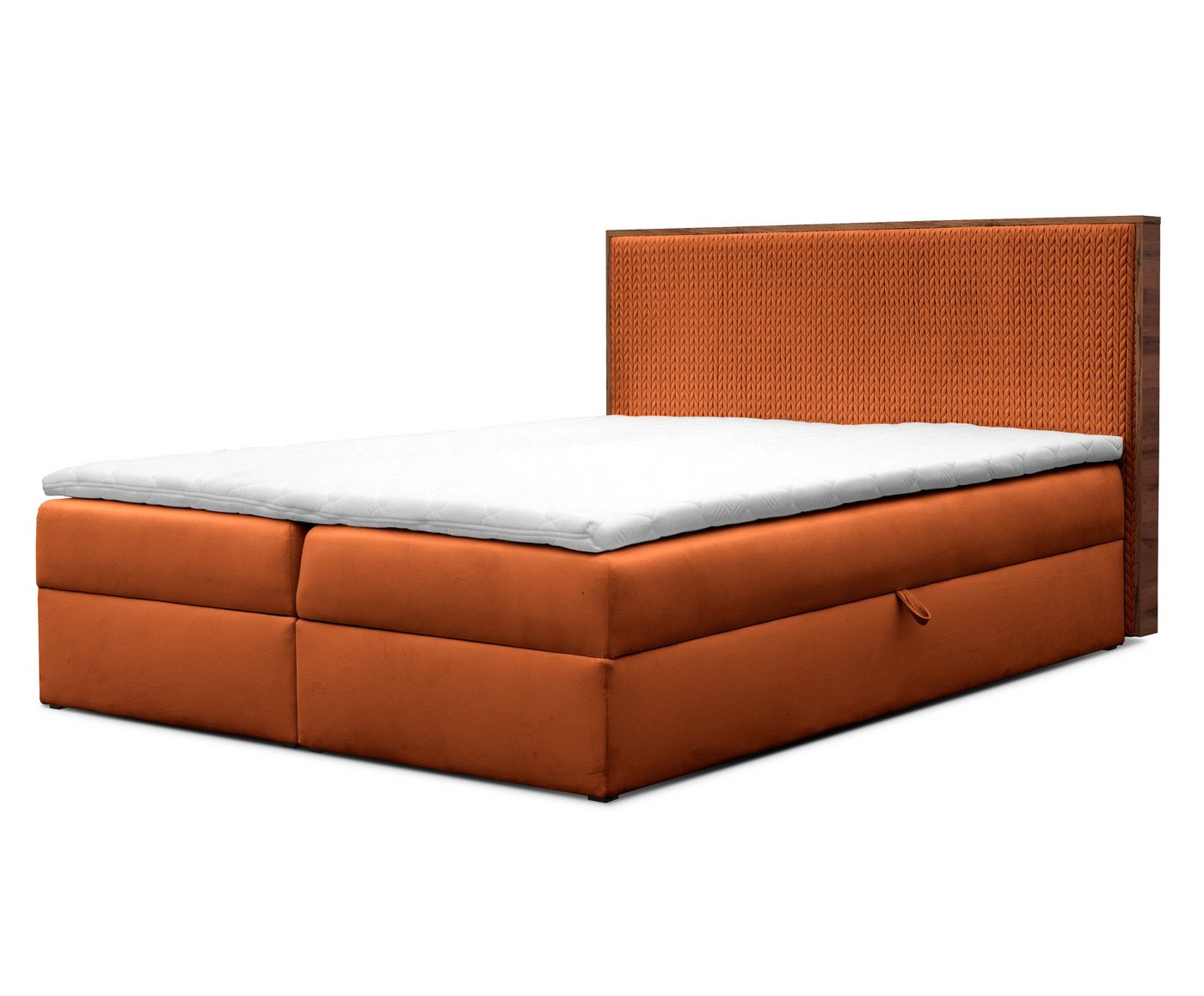 Furnix Boxspringbett Krisi 120/140/160/180x200 mit Bettkasten & Topper Auswahl Farbe/Größe, hochwertiger strapazierfähiger Stoff, 2 Bettkästen von Furnix