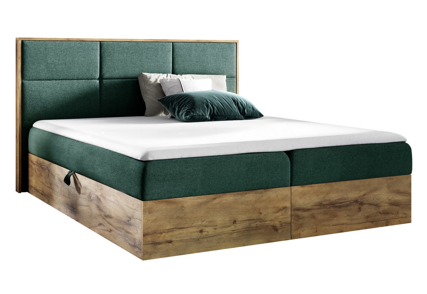 Furnix Boxspringbett Redos 120-200x200 Bett in Duo-Optik mit Bettkasten und Topper, moderne Optik, gepolstertes Kopfteil, pflegeleicht von Furnix