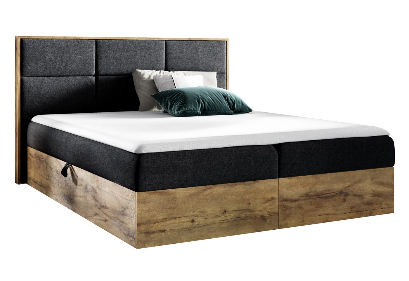 Furnix Boxspringbett Redos 120-200x200 Bett in Duo-Optik mit Bettkasten und Topper, moderne Optik, gepolstertes Kopfteil, pflegeleicht von Furnix