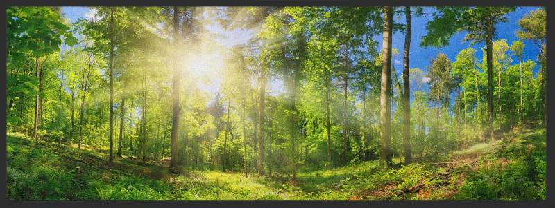 Läufer Wald 10284 von Fussmattenwelt