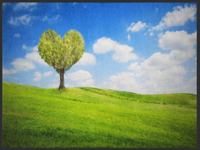 Sauberlaufmatte 4900 von Fussmattenwelt