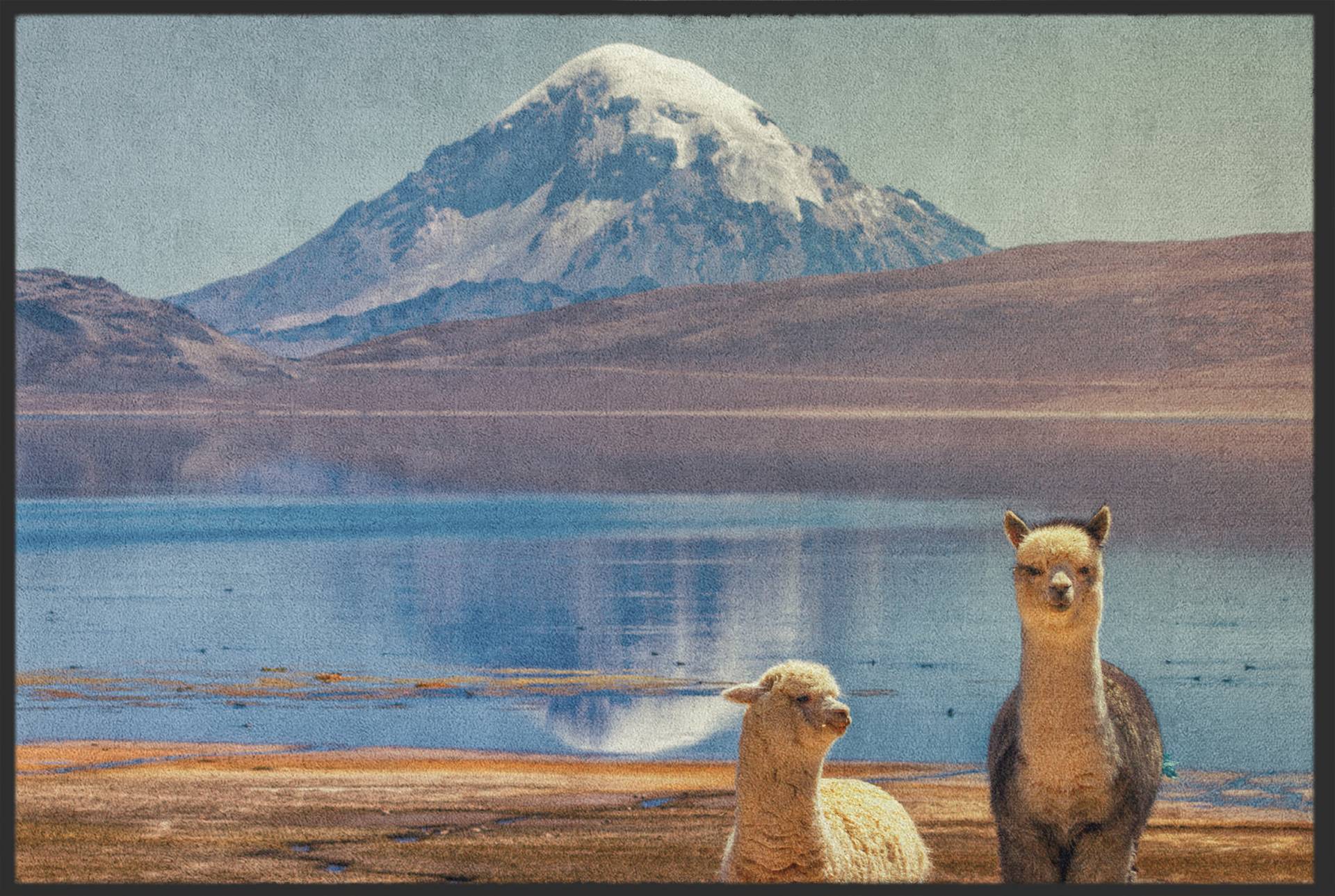 Sauberlaufmatte Alpaca 10331 von Fussmattenwelt