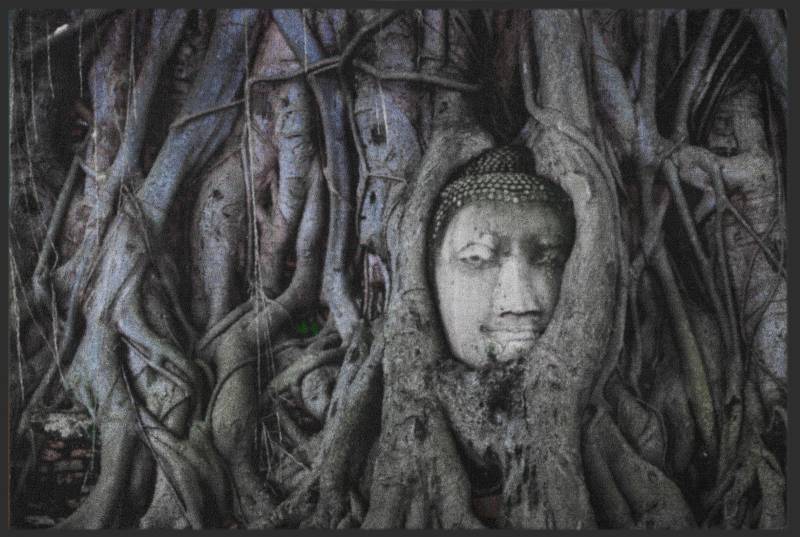 Sauberlaufmatte Buddha 6105 von Fussmattenwelt