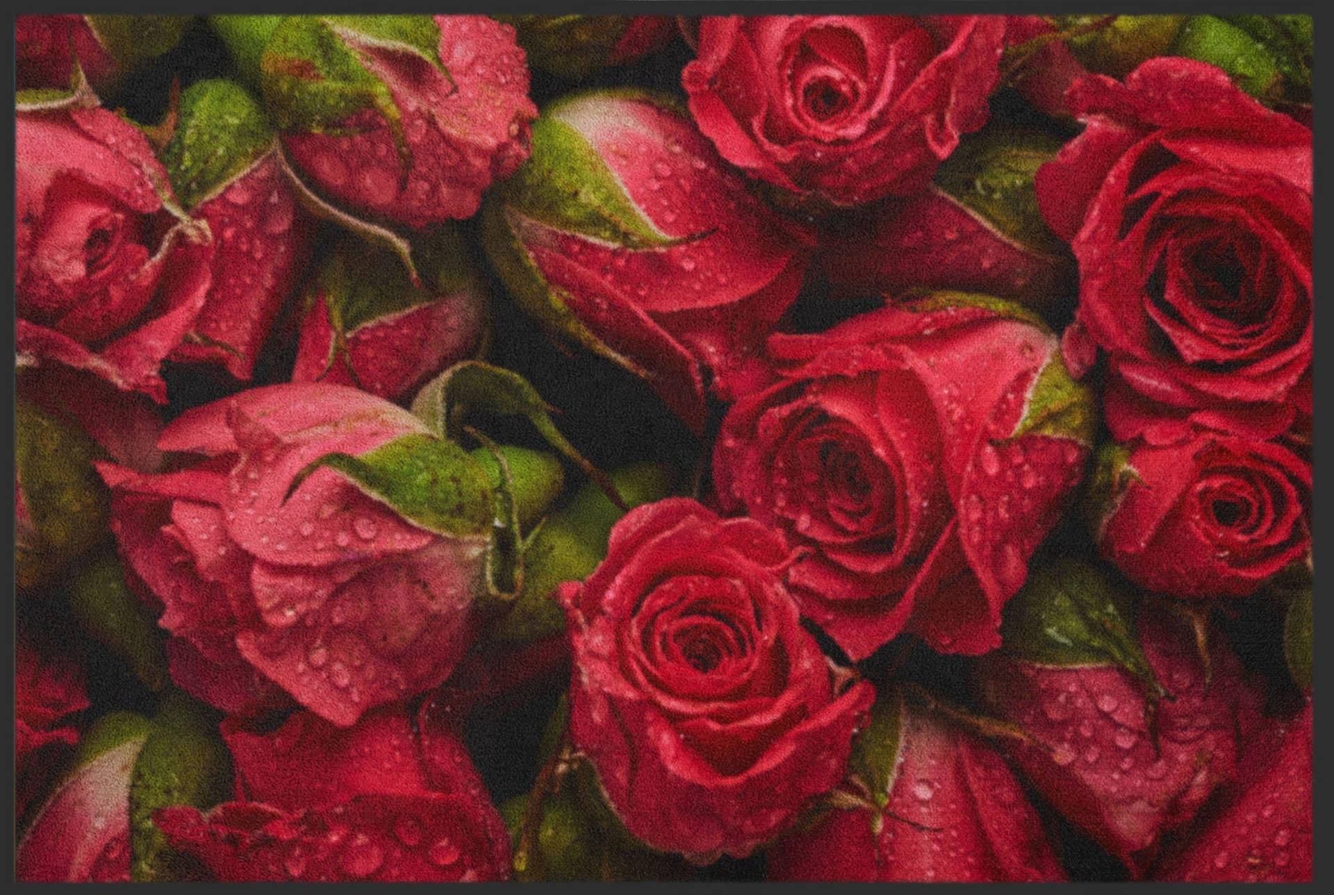 Sauberlaufmatte Rote Rosen 4619 von Fussmattenwelt