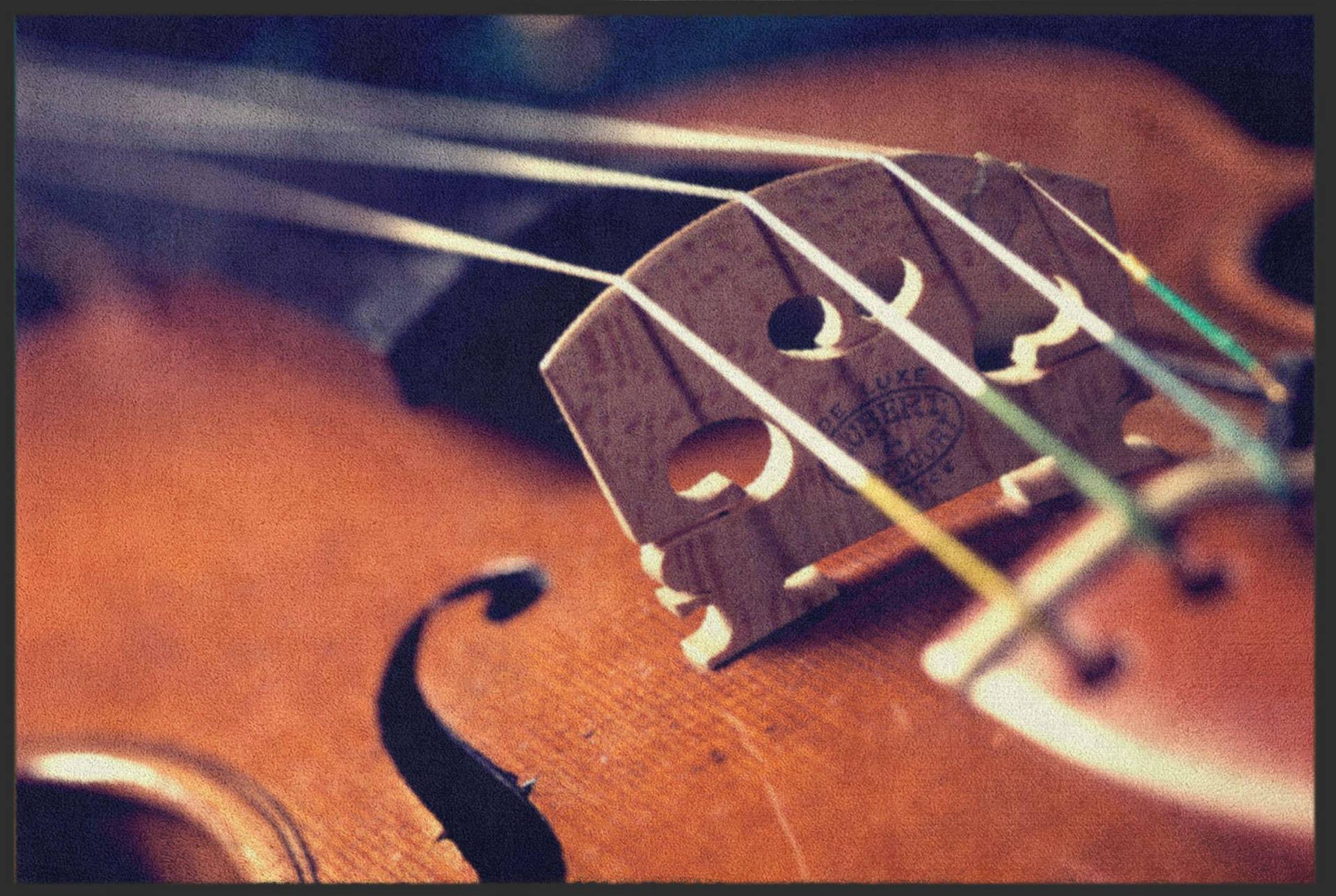 Sauberlaufmatte Violine 6134 von Fussmattenwelt