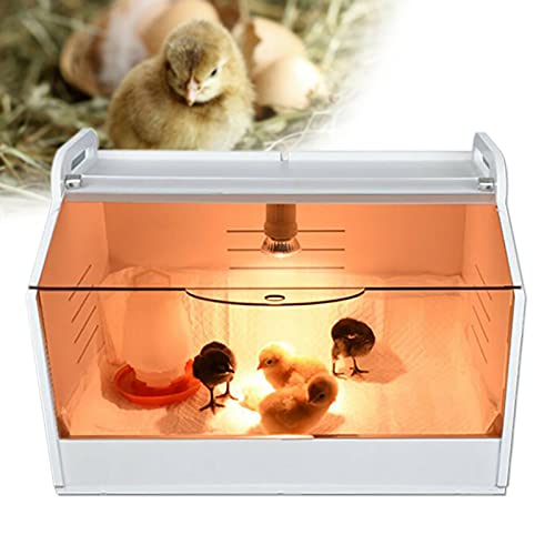 Aufzuchtbox Brutbox Kükenaufzuchtbox mit Thermometer Wärme Lampe für Geflügel 220V Aufzuchtbox Brutbox Kükenaufzuchtbox mit Thermometer Wärme Lampe für Geflügel 220V von Futchoy