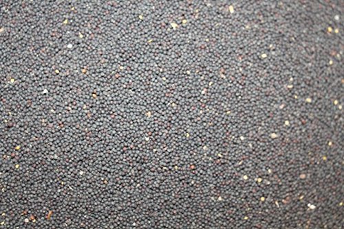 10kg FutterXL Raps, direkt vom Landwirt von FutterXL