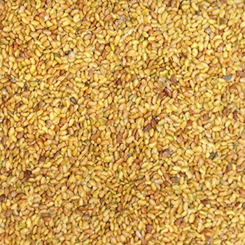 2,5kg FutterXL Luzerne Saat - Futterpflanze für Haus- und Nutztiere - mehrjährige Gründüngungspflanze 2,5kg FutterXL Luzerne Saat - Futterpflanze für Haus- und Nutztiere - mehrjährige Gründüngungspflanze von FutterXL