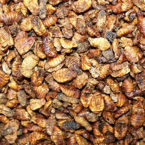 3 Ltr. Seidenraupen 3 Ltr. Seidenraupen von FutterXL