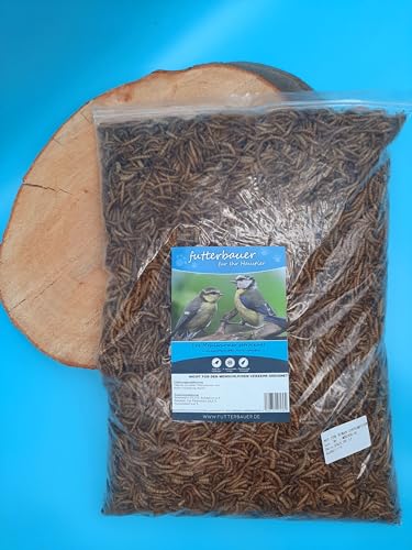 1 kg Futterbauer Mehlwürmer Vogelfutter Igelfutter Nagerfutter 1 kg Futterbauer Mehlwürmer Vogelfutter Igelfutter Nagerfutter von Futterbauer
