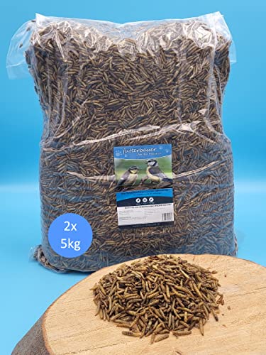10kg Futterbauer Soldatenfliegenlarven wie Mehlwürmer Vogelfutter, Fischfutter 10kg Futterbauer Soldatenfliegenlarven wie Mehlwürmer Vogelfutter, Fischfutter von Futterbauer