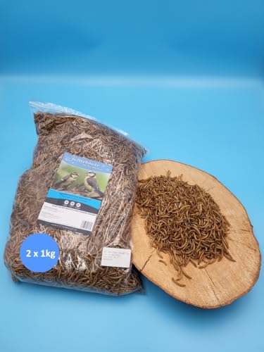 2X 1 kg Futterbauer Mehlwürmer Vogelfutter Igelfutter Nagerfutter 2X 1 kg Futterbauer Mehlwürmer Vogelfutter Igelfutter Nagerfutter von Futterbauer