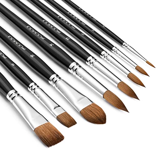 Aquarellpinsel Set - 8er Professionell Rotmarder Pinselset für Aquarell, Wasserfarben, Gouache | Künstlerpinsel, Filbert Pinsel, Rund Pinsel, Flach Pinsel | Echthaar Pinselset für Hohe Absorption Aquarellpinsel Set - 8er Professionell Rotmarder Pinselset für Aquarell, Wasserfarben, Gouache | Künstlerpinsel, Filbert Pinsel, Rund Pinsel, Flach Pinsel | Echthaar Pinselset für Hohe Absorption von Fuumuui