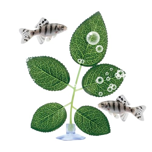 Fuuxtci Betta Betten Für Aquarium | Aquarium Blatt Pad Mit Saugnapf - Realistische Ruheplattform Für Laichplatz Guppy Schlafplatz Spielbereich Anreicherung Fuuxtci Betta Betten Für Aquarium | Aquarium Blatt Pad Mit Saugnapf - Realistische Ruheplattform Für Laichplatz Guppy Schlafplatz Spielbereich Anreicherung von Fuuxtci