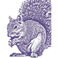 Eichhörnchen Kunst - 11x14 Signierter Druck Eichhörnchen Kunst - 11x14 Signierter Druck von FuzzyMug