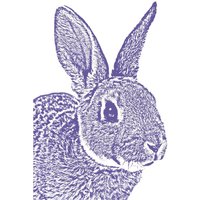 Kaninchen Druck, 13x18 Signiert von FuzzyMug