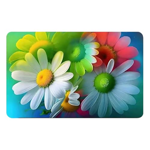 Badezimmer Garnitur Badematten-Set aus floralem Tech-Stoff, rutschfeste Eingangsmatten, saugfähige Fußmatten, 2-teiliges Set für Badezimmer und Eingangsbereich (Blue, 40X60CM) von Fycakly