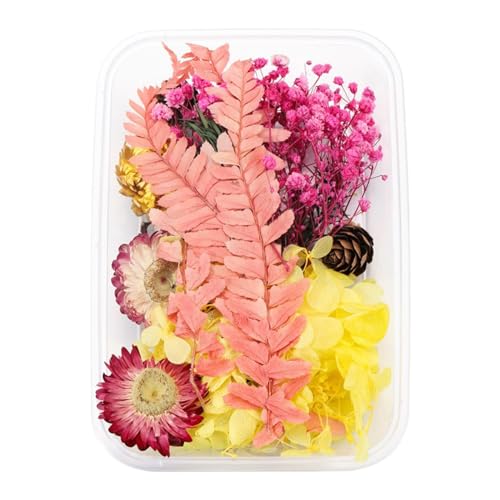 Fycakly Kunstblumen Deko 1 echte getrocknete Blumenharzfüllungen Expoxy- für Epoxidharz-Schmuckherstellung Handwerk DIY-Zubehör Zubehör von Fycakly