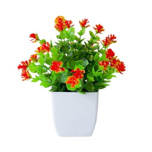 Fycakly Natürliche Getrocknte Blumen Topfpflanzen für den Schreibtisch Fycakly Natürliche Getrocknte Blumen Topfpflanzen für den Schreibtisch von Fycakly