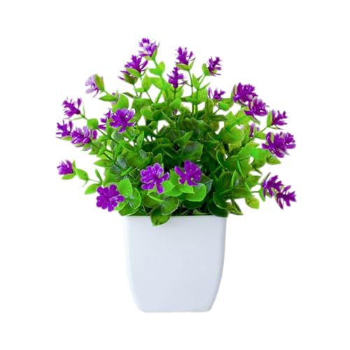 Fycakly Natürliche Getrocknte Blumen Topfpflanzen für den Schreibtisch Fycakly Natürliche Getrocknte Blumen Topfpflanzen für den Schreibtisch von Fycakly