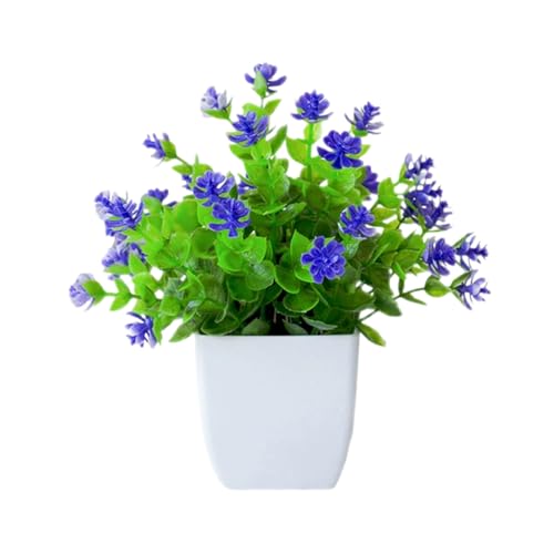 Fycakly Natürliche Getrocknte Blumen Topfpflanzen für den Schreibtisch Fycakly Natürliche Getrocknte Blumen Topfpflanzen für den Schreibtisch von Fycakly