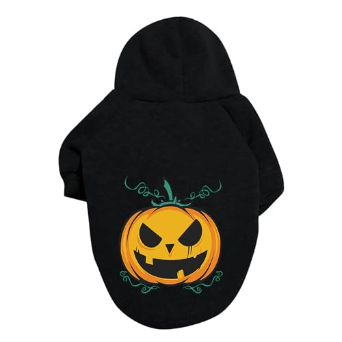 Halloween Katze Kostoum Halloween Kürbis Hundepullover Haustierpullover Haustierkleidung Teddy Hundekostüm (Black, XXXL) von Fycakly