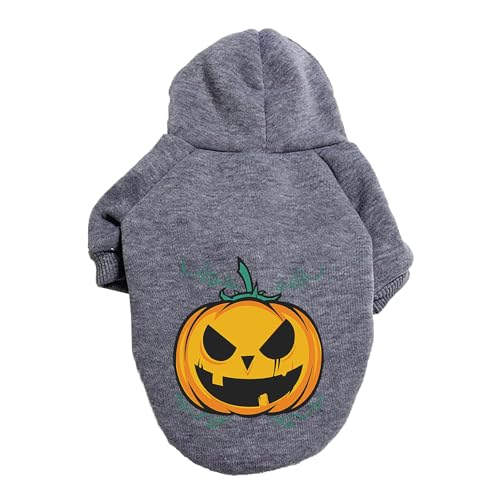 Halloween Katze Kostoum Halloween Kürbis Hundepullover Haustierpullover Haustierkleidung Teddy Hundekostüm (Grey, XS) von Fycakly