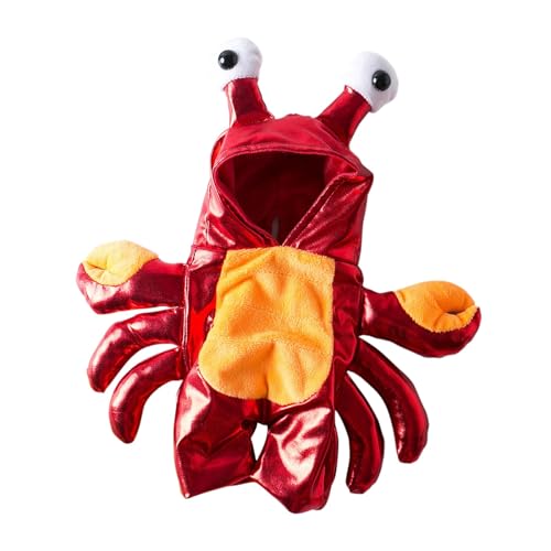 Katze Fledermaus Kostüm Halloween-Krabbe in einen Hund, Katze, lustige Kleidung, lustiges Outfit für kleine mittelgroße Hunde (Red, L) von Fycakly