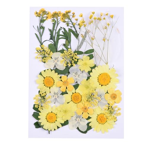 Künstliche Blumen Tropfen Getrocknete Handy Fall Studenten Hand DIY Getrocknete Blumen Material Paket Gesicht Stick Verkörpert Wahre (Yellow, One Size) von Fycakly