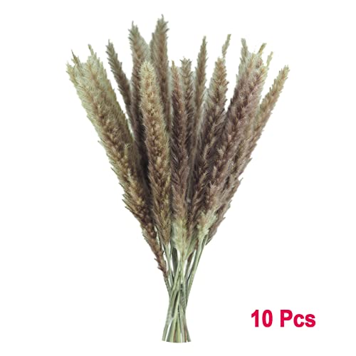 Kunstblumen 10 STÜCK Getrocknete Dekoration Getrocknete Blumen Vasen Blumenstrauß Boho Dekoration Zweige ( a, One Size) von Fycakly