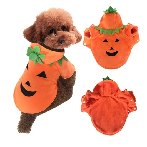 Fycakly Shirts für Hunde Halloween-Kürbiskostüm für Haustiere, lustiges Kostüm, Kürbis-Transformationskostüm, Kostüm für kleine Hunde (Orange, L) von Fycakly