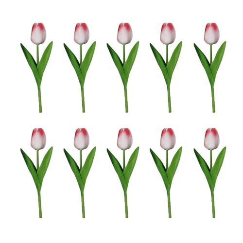 Trockenblumen Zum Basteln Muttertagsblumen im Freien?? Seide nie, bleibt frisch Immer schön. Jede Packung enthält 10 Stück (C, One Size) von Fycakly