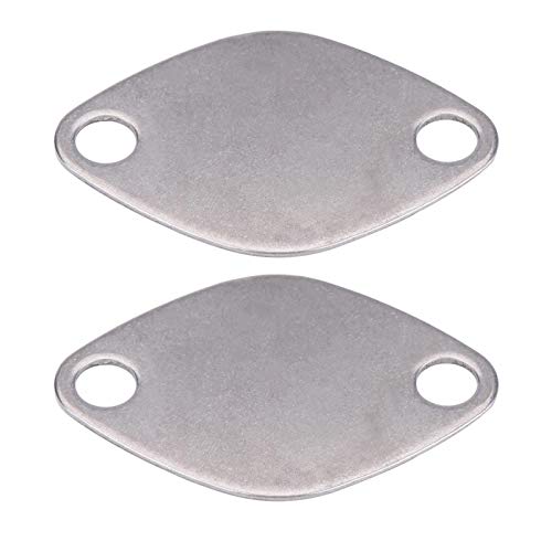 AGR Ventile Dichtung, Fydun AGR Ventil Blindplatten Kit Dichtungssatz Werkzeug und Dichtung passend für 2.2 2.5 dCi von Fydun