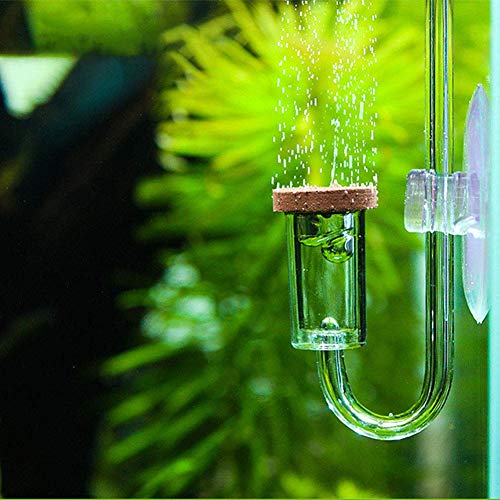 Fydun Transparenter Aquarium CO2 Diffusor, Aquarium Co2 Zerstäuber System Mit Saugnapf für Aquarium Pflanzen Wasser Gras von Fydun